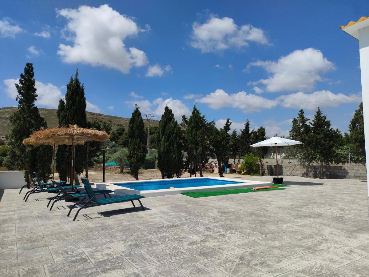 Casa Rural Con Piscina Climatizada Y Barbacoa A 10 Km De Alicante Y Playas, 3000 M2 De Terreno Elche Exteriör bild