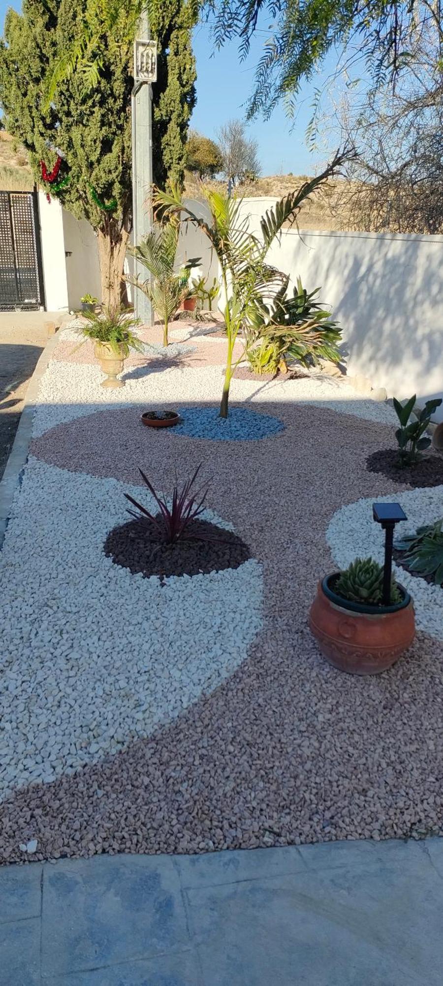 Casa Rural Con Piscina Climatizada Y Barbacoa A 10 Km De Alicante Y Playas, 3000 M2 De Terreno Elche Exteriör bild
