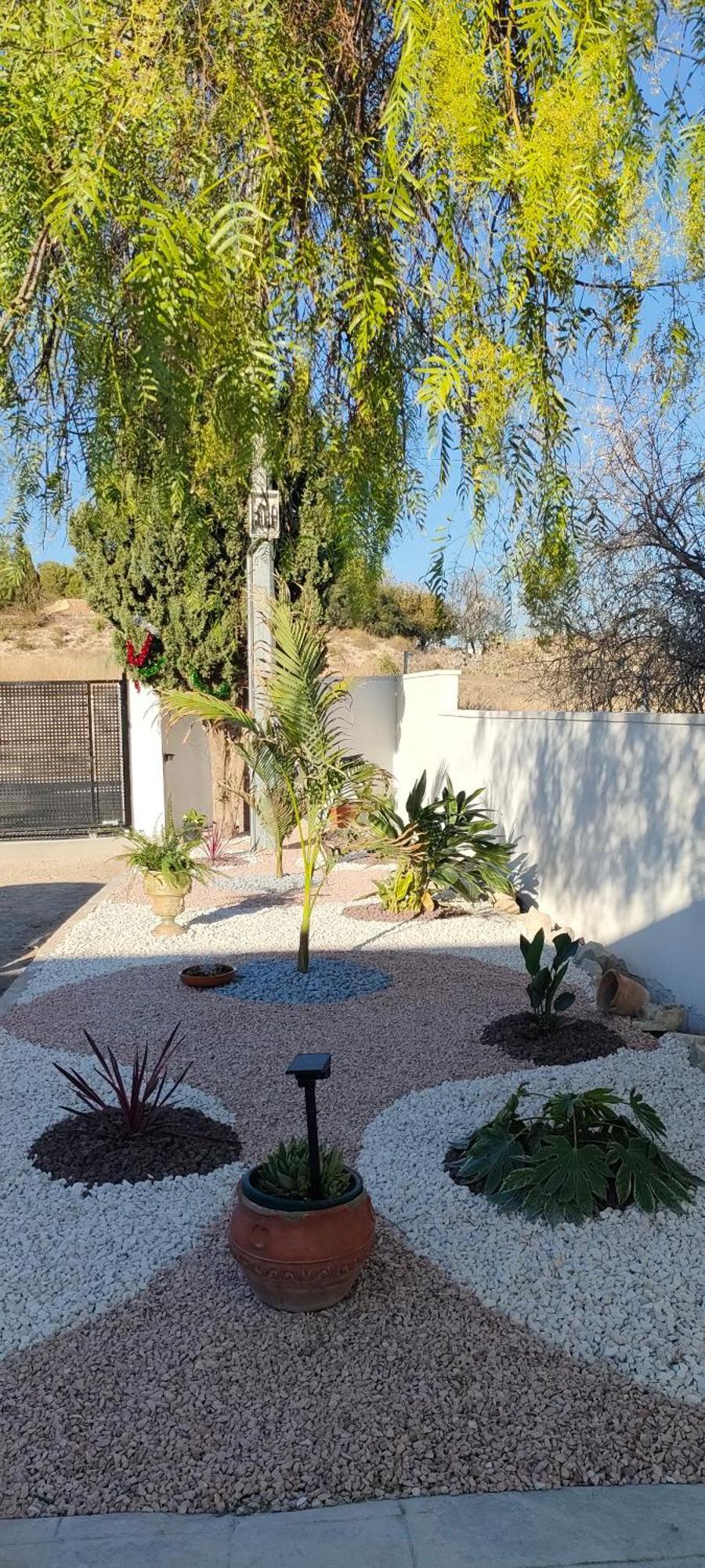 Casa Rural Con Piscina Climatizada Y Barbacoa A 10 Km De Alicante Y Playas, 3000 M2 De Terreno Elche Exteriör bild