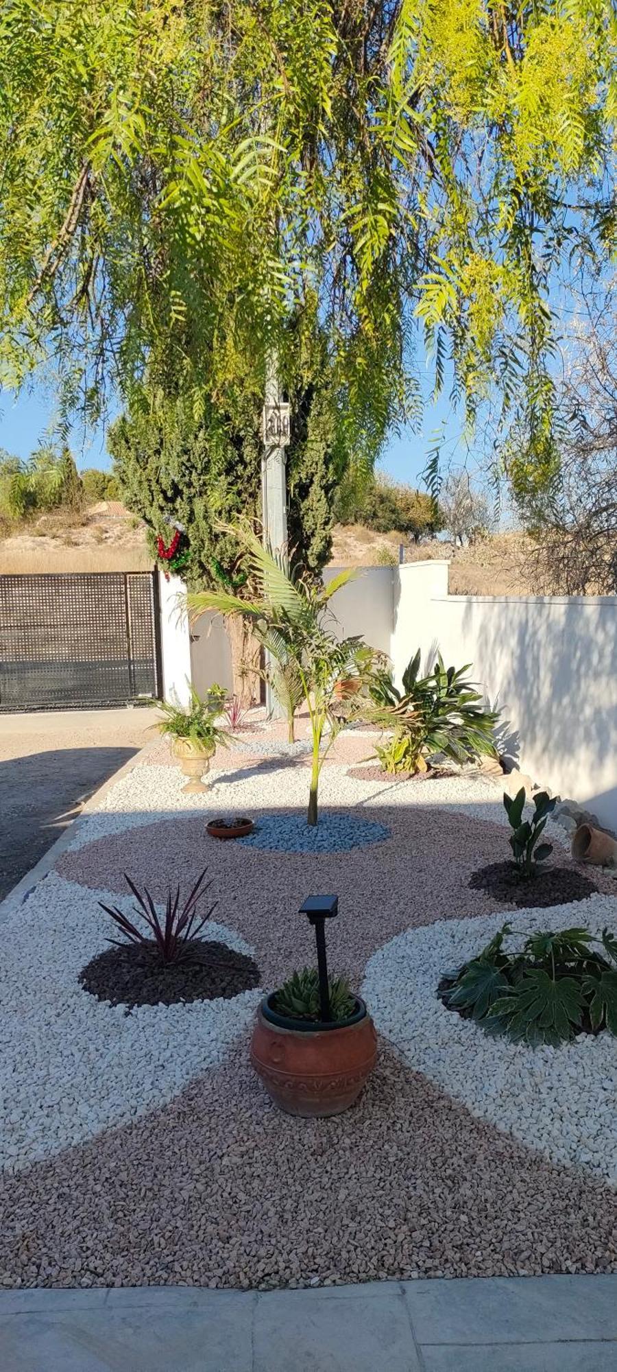 Casa Rural Con Piscina Climatizada Y Barbacoa A 10 Km De Alicante Y Playas, 3000 M2 De Terreno Elche Exteriör bild