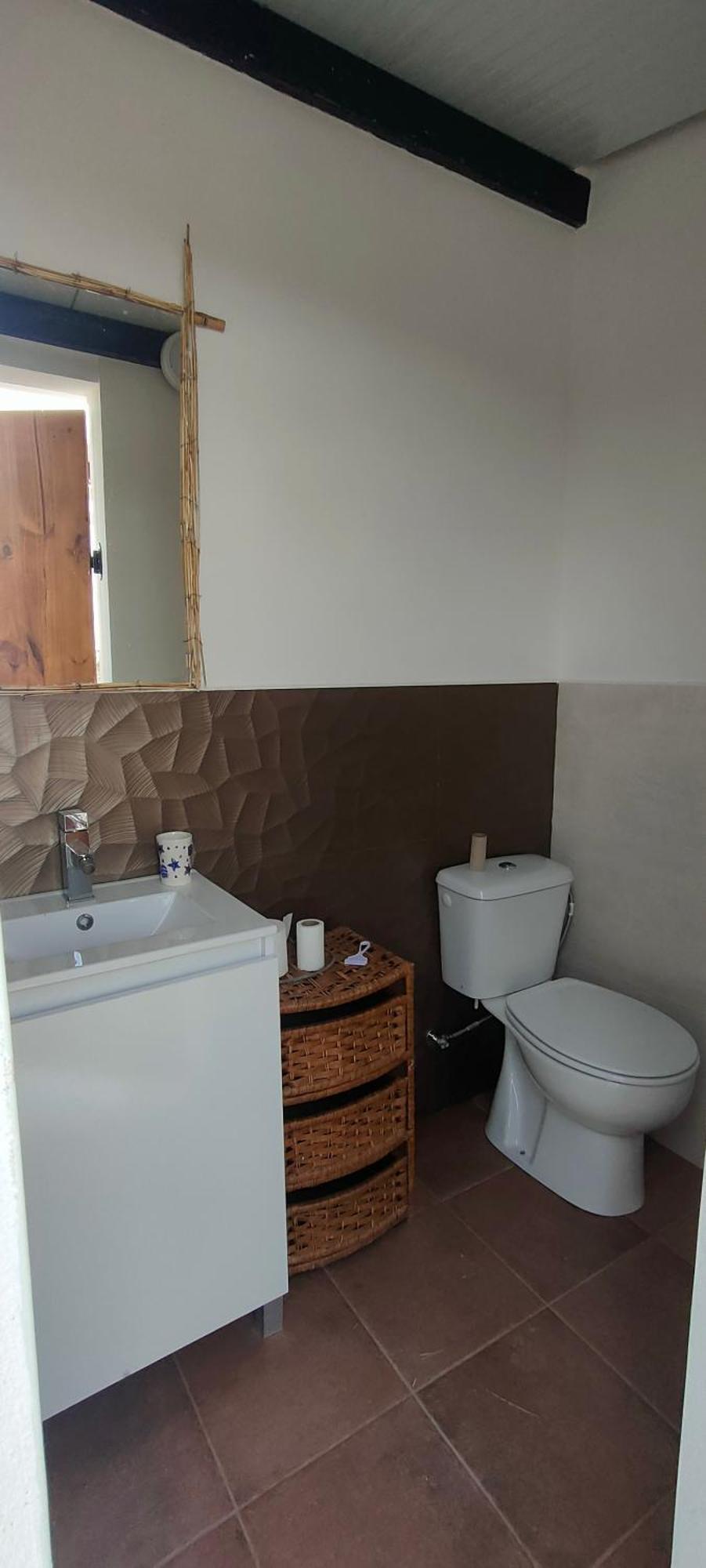 Casa Rural Con Piscina Climatizada Y Barbacoa A 10 Km De Alicante Y Playas, 3000 M2 De Terreno Elche Exteriör bild